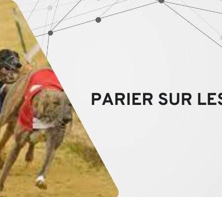 Parier sur les Courses de Lévriers
